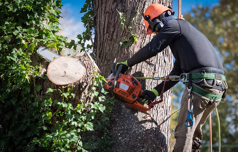 tree2 garage conversion company